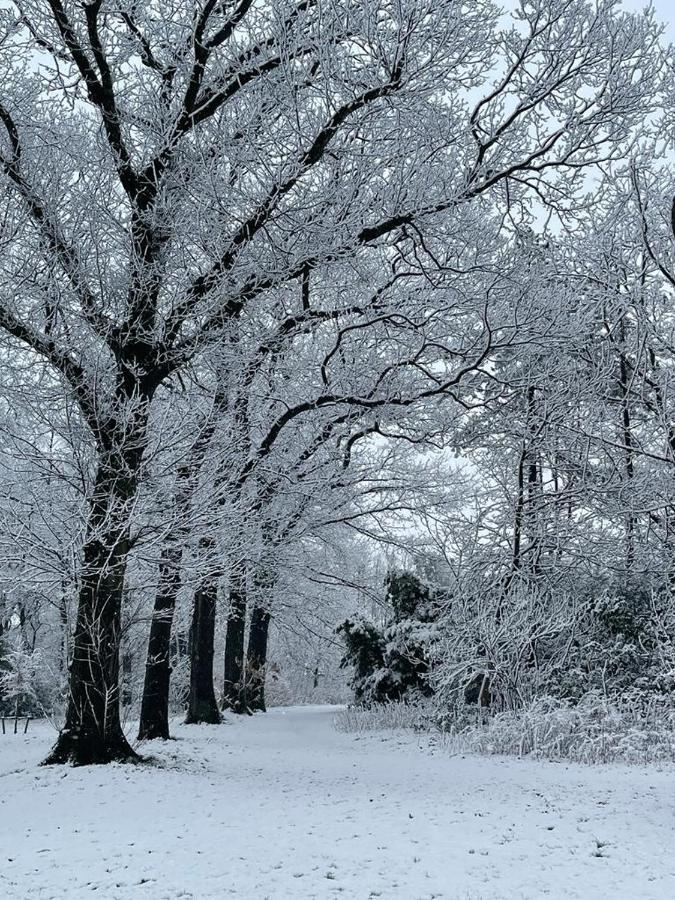 B&B Domein Rodin Oud-Turnhout Bagian luar foto