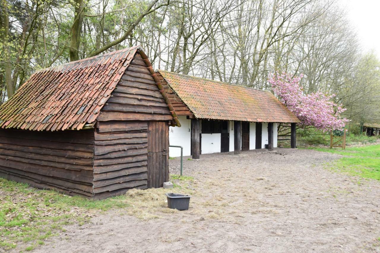 B&B Domein Rodin Oud-Turnhout Bagian luar foto